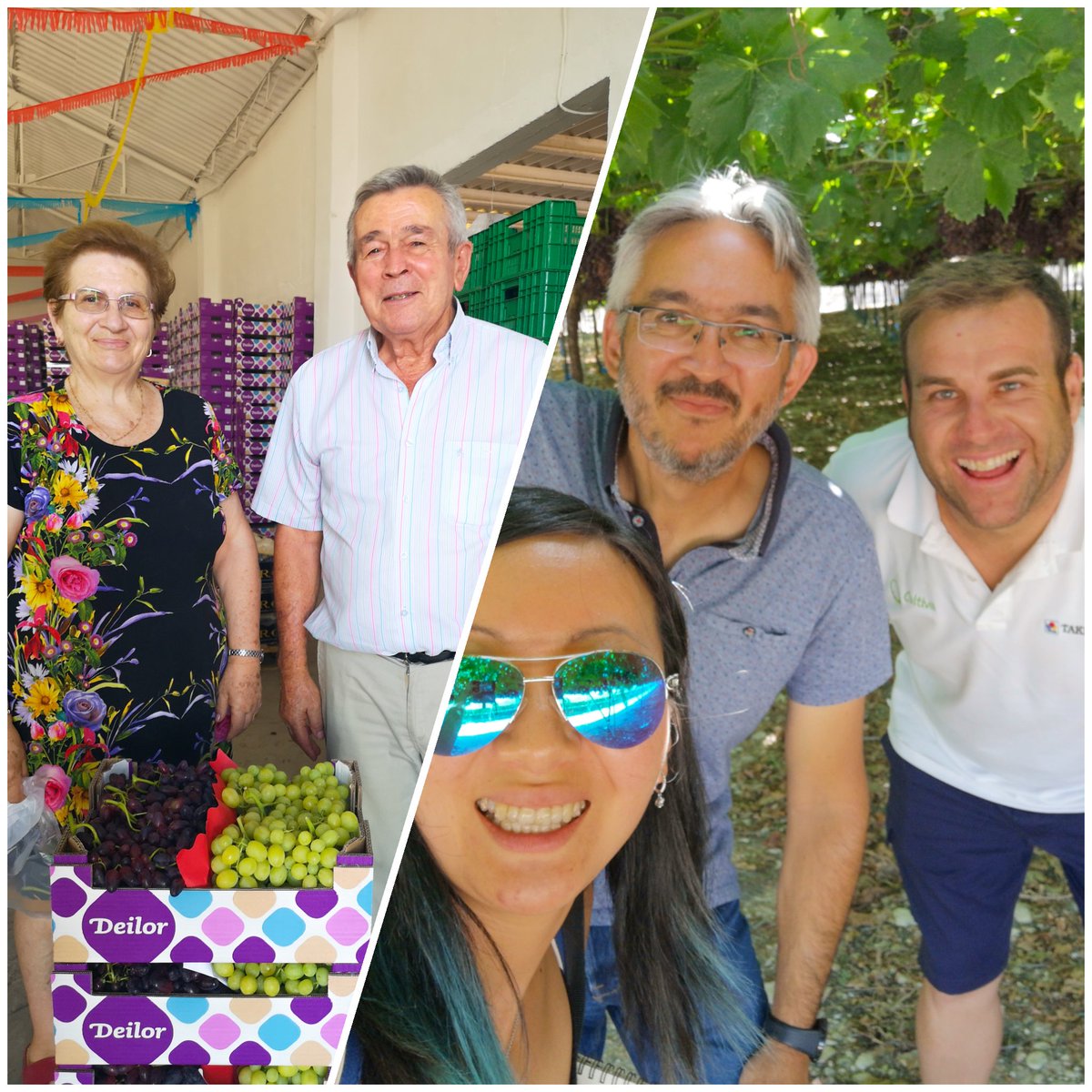 caterina_pak's tweet photo. 🌱Ayer tuve un maravilloso día con tanta buena gente en #Murcia. Brindo por más días como este🤩
#Solplast @intersemillas1 @TecnicoCampo @jorloan #Hoyamar
💚¡Gracias por tanto! 💚
#agricultura #agricultor #agro #melon #sandía #uva #agronomos #broccoli #plasticosagricolas #deilor https://t.co/YVscD22O9N