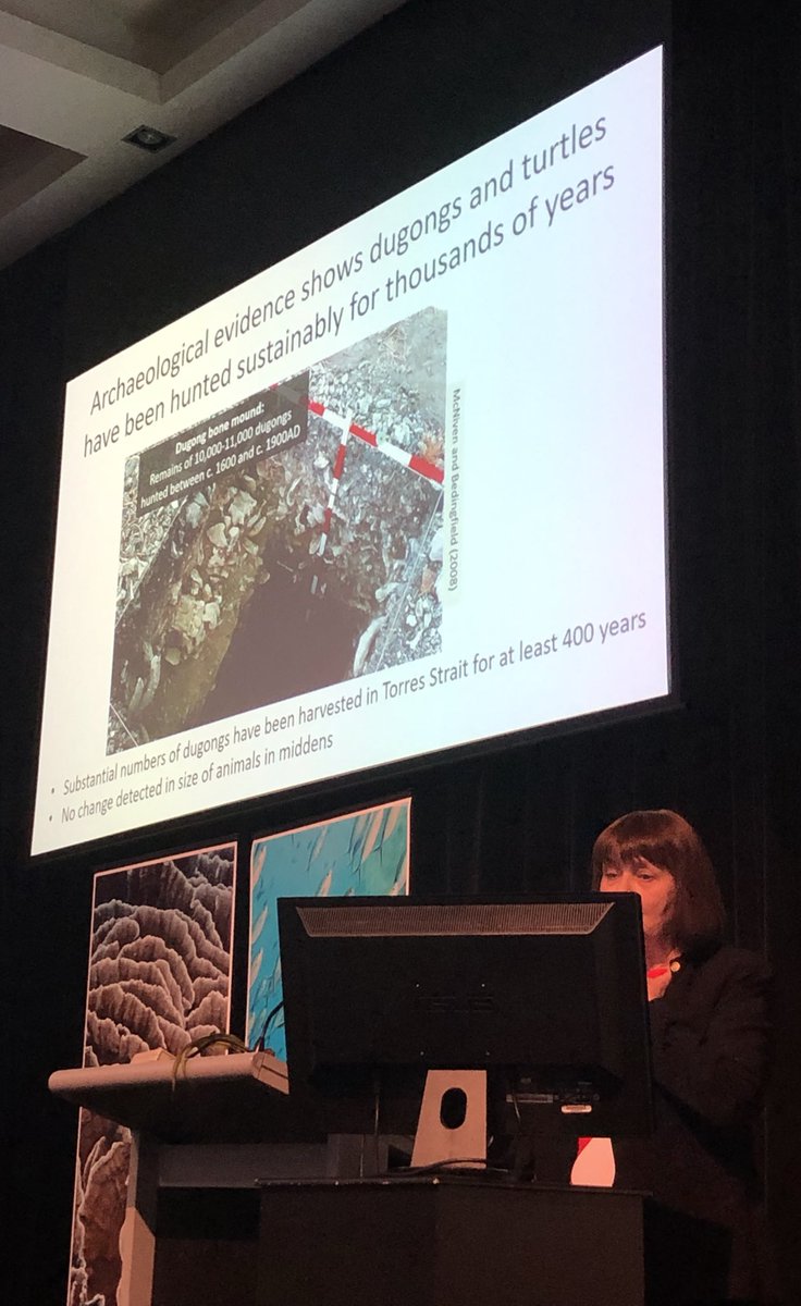amsa_marine's tweet photo. AMSA Jubilee Award recipient Helene Marsh summarised her outstanding career in marine research at #AMSA19 including marine mammal conservation that used multiple lines of research. @AMSAconf #AMSA2019 https://t.co/y9GQjEVacp
