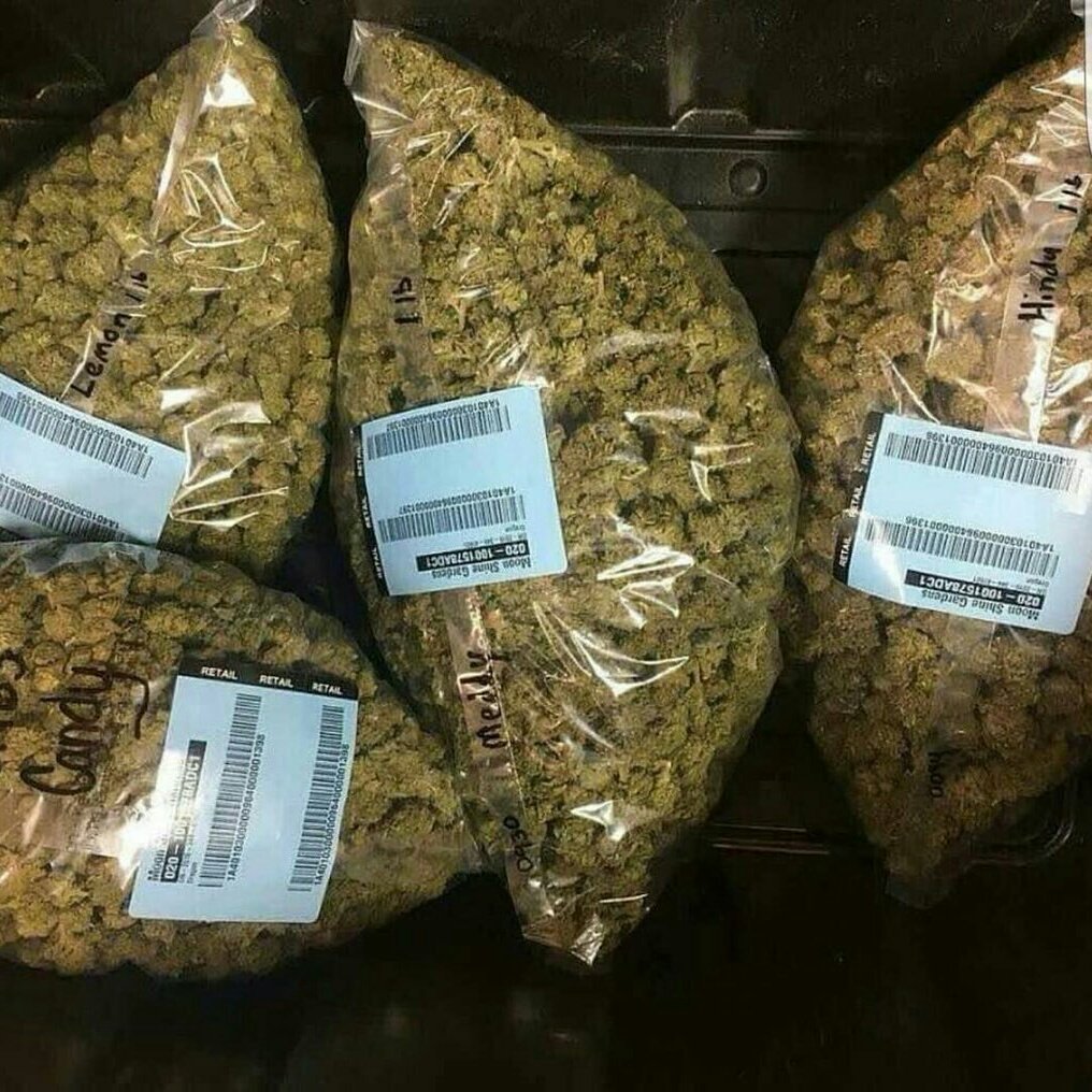 weedpandashop's tweet photo. Are You Looking For An Online Cannabis Dispensary That Offers High POTENCY Marijuana Products ?

Website: https://t.co/RV3S5Sb3Sm
Text or Call: (702) 508-2454
Email: sales@weedpandashop.com https://t.co/oHFWkEGjqK
