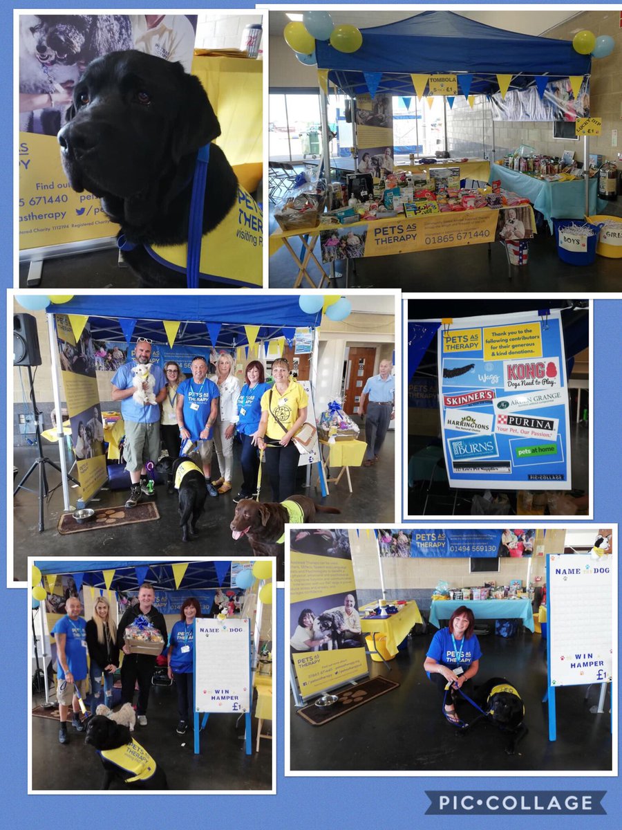 MerlinBlackLab's tweet image. My human, Mandy Williamson organised a stand to represent Pets as Therapy at Just Dogs Live In Peterborough. It was very successful &amp;amp; we had great fun.
I’ve been told that I was a star 🌟 
@JustDogsLive @PetsAsTherapyUK #blacklabrador #labrador #dogsoftwitter