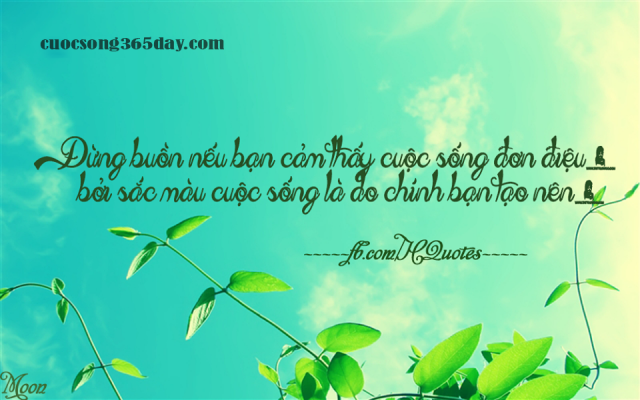 TGuigna's tweet photo. Chừng nào ta chưa tha thứ cho những người đã làm ta tổn thương thì họ còn choán tâm trí ta chừng ấy. https://t.co/xh9Mp1EL9x