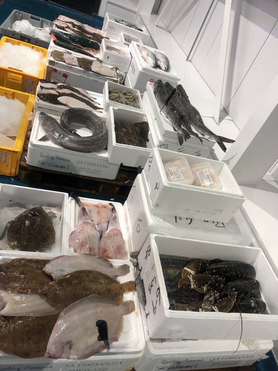 y_platos's tweet photo. On our travels sourcing the freshest of ingredients for our menu 🧡 https://t.co/Lw2xBORoSH