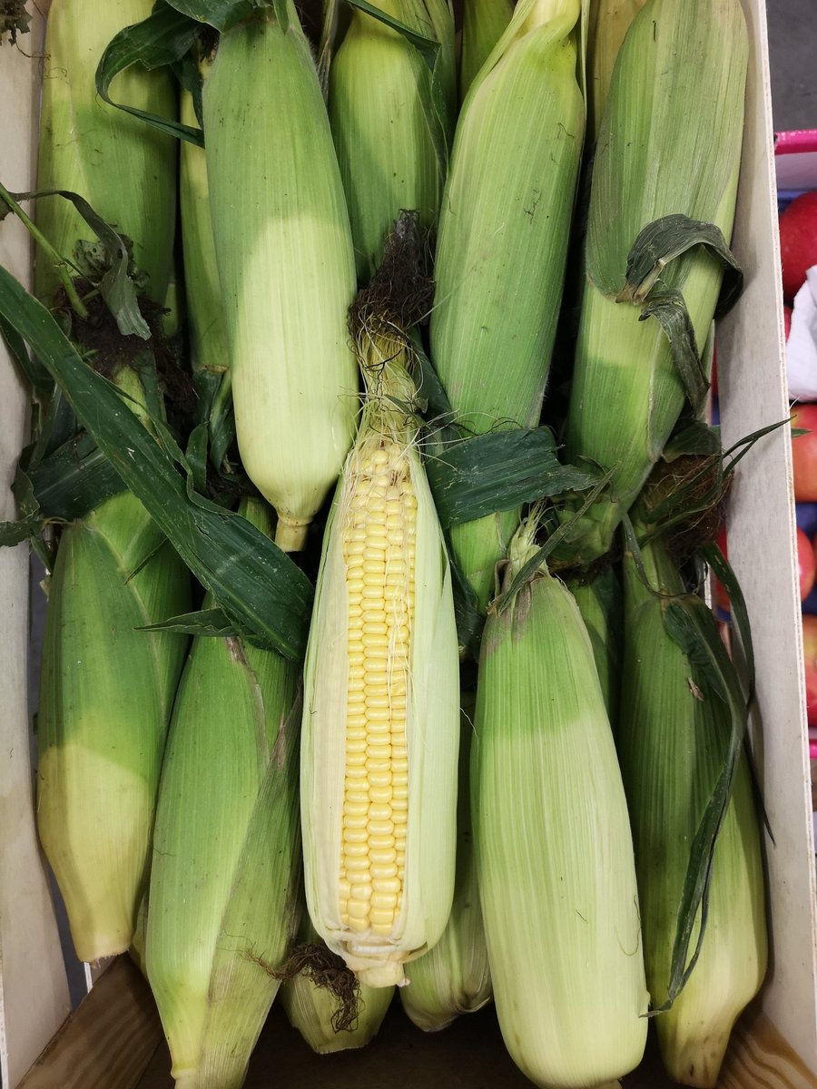 NBProduce's tweet photo. Lovely bit of fresh produce in sourced this morning https://t.co/wCfWzVYmcl