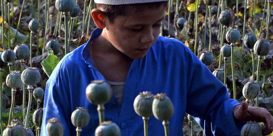 christian_aid's tweet photo. The “war on drugs” may harm the world’s poorest and most marginalised people. It’s time to rethink the narrative. Read the report here: https://t.co/CWV14O0tm8 @Drugs_disorder https://t.co/nwcy6RxZ50