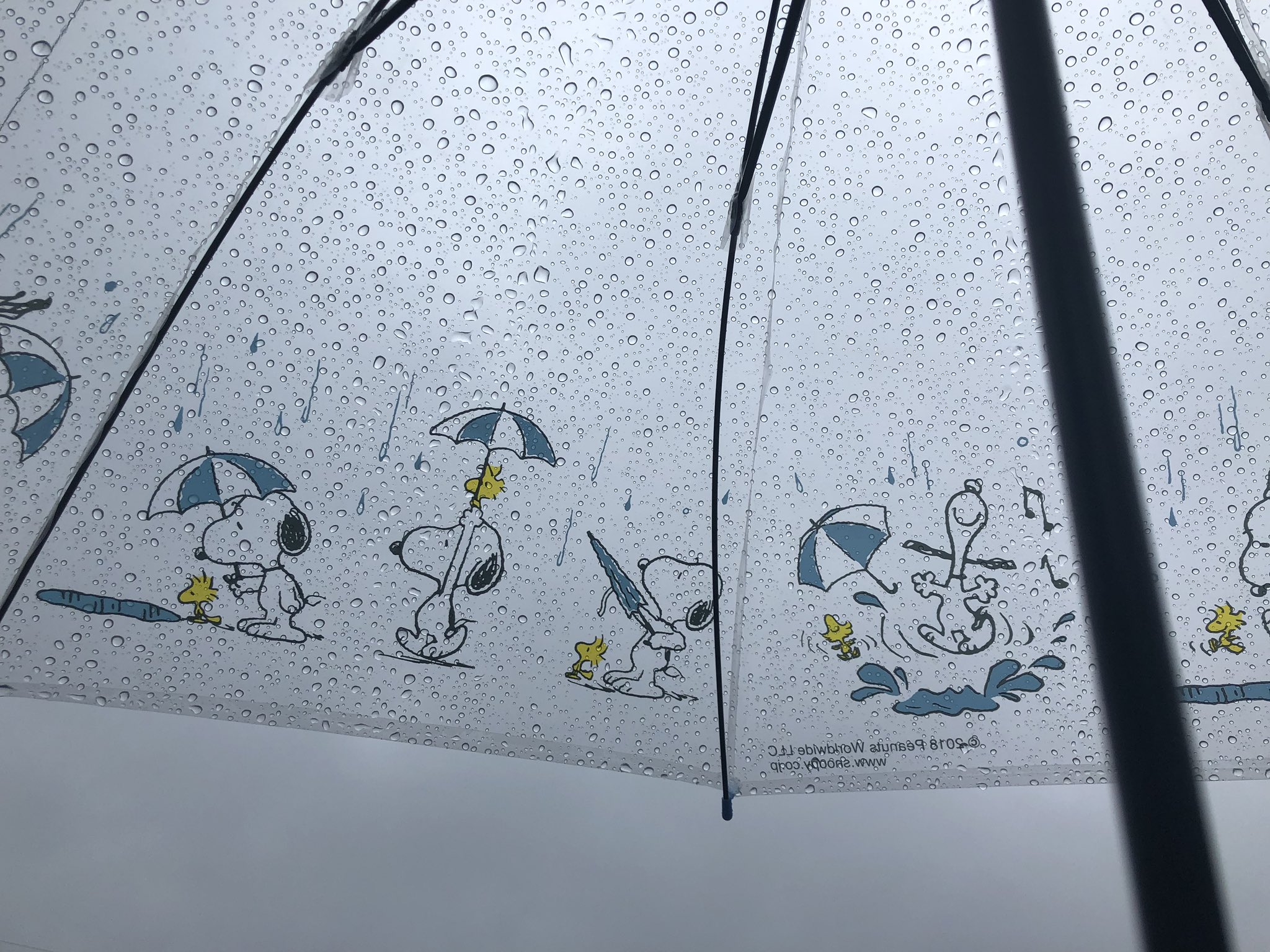 岩田まりな ペリー Ncl 雨やあ 可愛いスヌーピーの傘持って がんばろー スヌーピー スヌーピーグッズ スヌーピー傘 T Co Fhdsclnwok Twitter