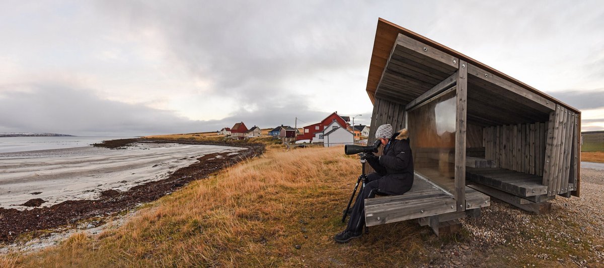 Biotope_nordic's tweet photo. With summer in full swing, we thought we'd post a few images of our previous projects so that you can see what Biotope are all about.  This sea watching shelter in #varanger in #arctic #norway allows people to increase their dwell time outdoors, have a better #nature experience https://t.co/GMQD50TAuZ
