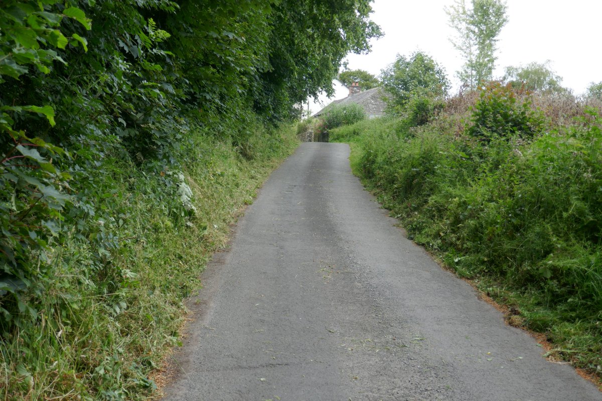 <a href="/NuttySupplier/">Sharon</a> A good job I cut back the verges yesterday up to Hill Top ! #A590 ratrun