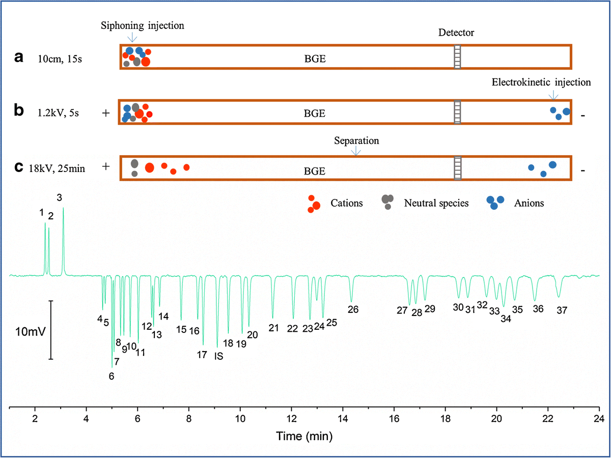 AnalBioanalChem's tweet photo. A bi-end injection #capillary #electrophoresis method for simultaneous determination of 37 #cations and #anions in #beers
by Yi Chen et al #UCAS #Beijing #BNLMS
https://t.co/jBwMAOdI1S https://t.co/pJz7F6ZQd7