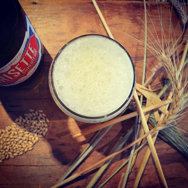 @shenanigansbrewing #grissettesuperieur, found another bottle hiding in the cellar. 
#singleorigin #craftmalt #riverina #sustainableagriculture #smallbusiness #supportlocal #craftmaltsters #craftbeer #buylocal #brewlocal #beerstartshere #farmtoglass #paddocktopint