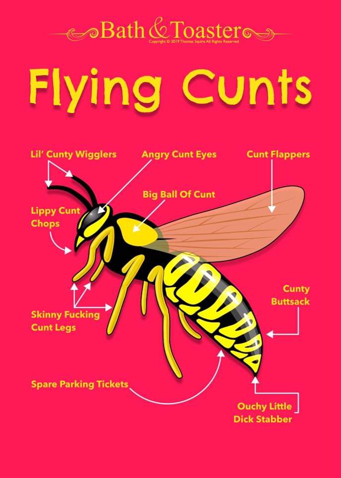 Glastyuop's tweet photo. I must agree! #wasps #buzzybastards #stungintheass https://t.co/ko0aqAeSyU