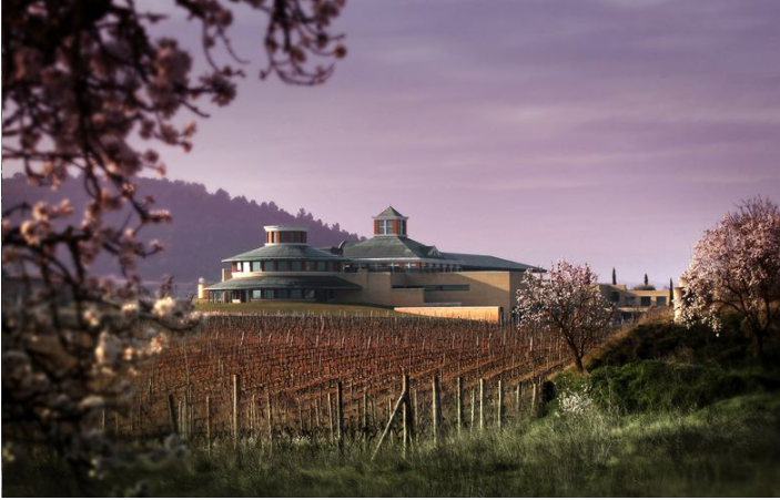 FEV_Vino's tweet photo. Nuestra enhorabuena a #ViñaTondonia, @marquesderiscal, @Vivanco_es y @familiatorres, elegidas entre los 50 #WorldBestVineyards. ¡Motivos no faltan para acercarse a visitar estas bodegas!   https://t.co/oQYbu3gIml https://t.co/H6dxEfprvT