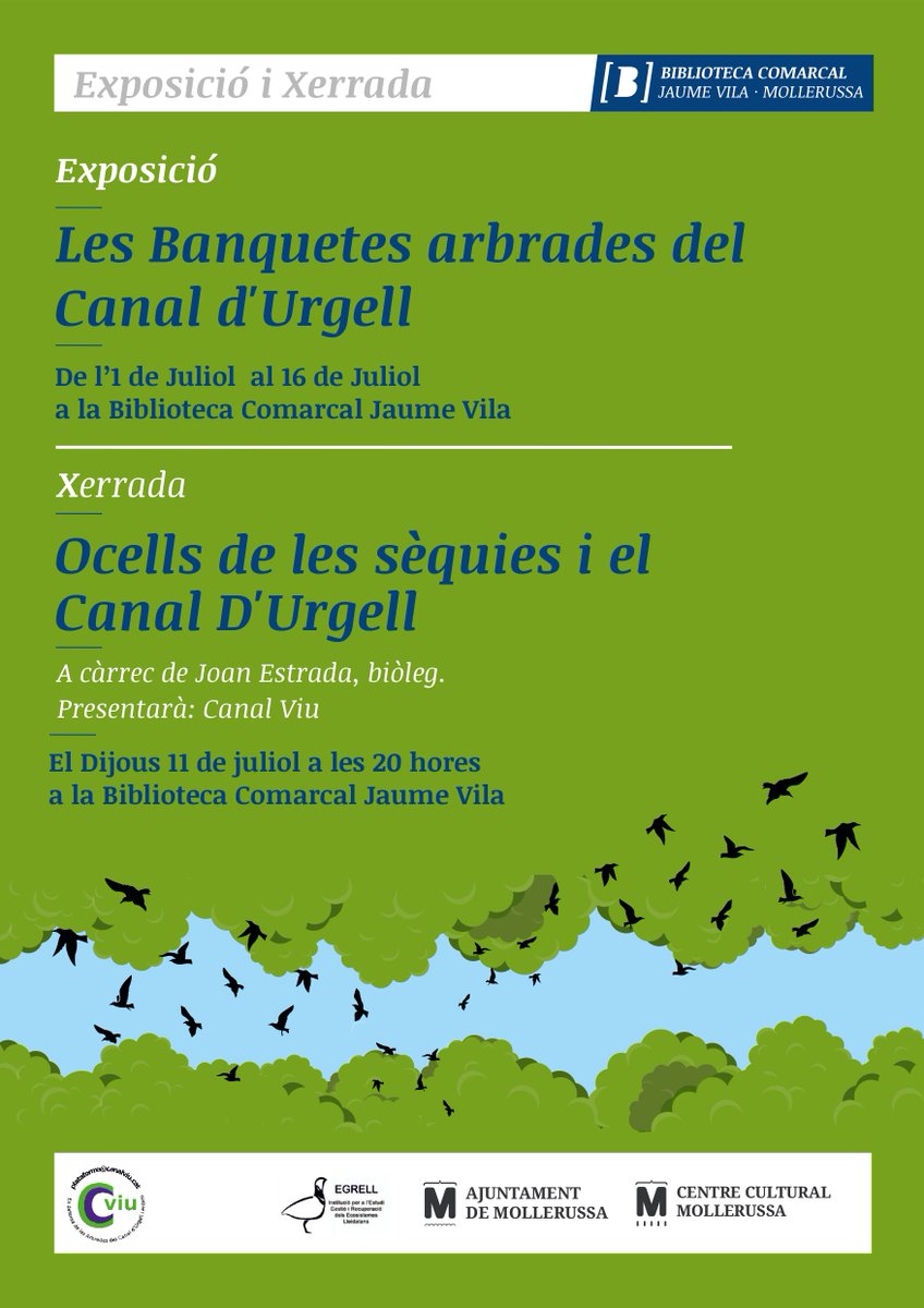 BibMollerussa's tweet photo. Avui al vespre a la nostra terrassa descobrirem els ocells que volten per les banquetes, sèquies i canals amb el #JoanEstrada @canalviu #Egrell #biblioteva https://t.co/LEZ2Tjd6gi