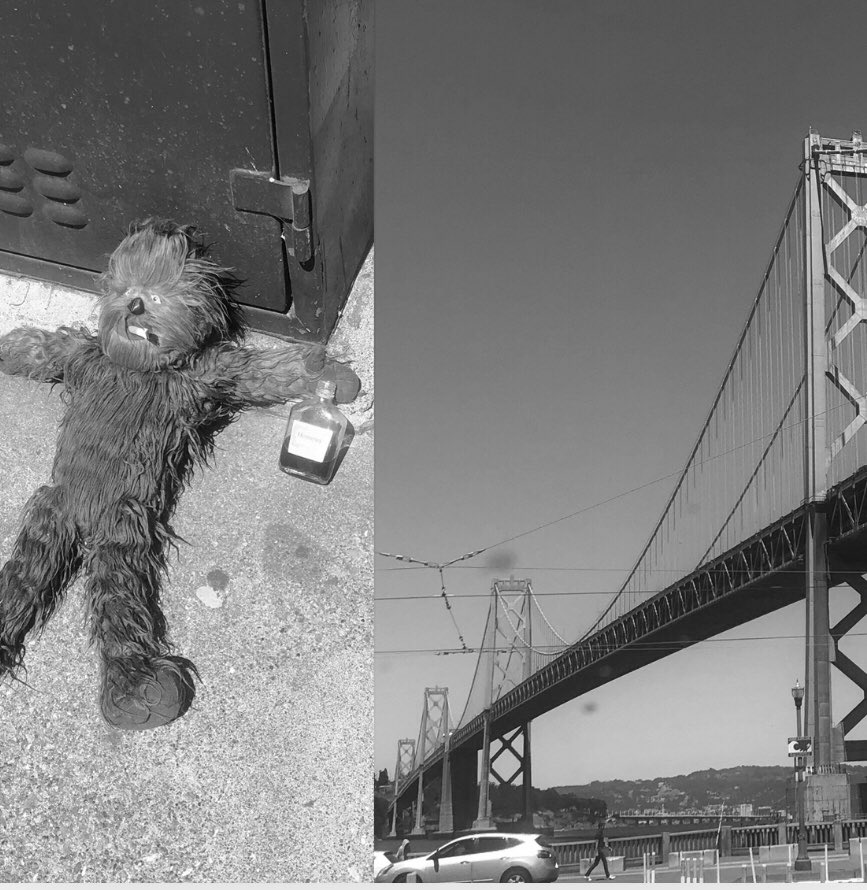 DivaBiotech's tweet photo. Day 2 of #7daysofmylife challenges by @liviutudor #seeninsanfrancisco #drunkteddy #streetart #crazycity https://t.co/uIvzknDCiu