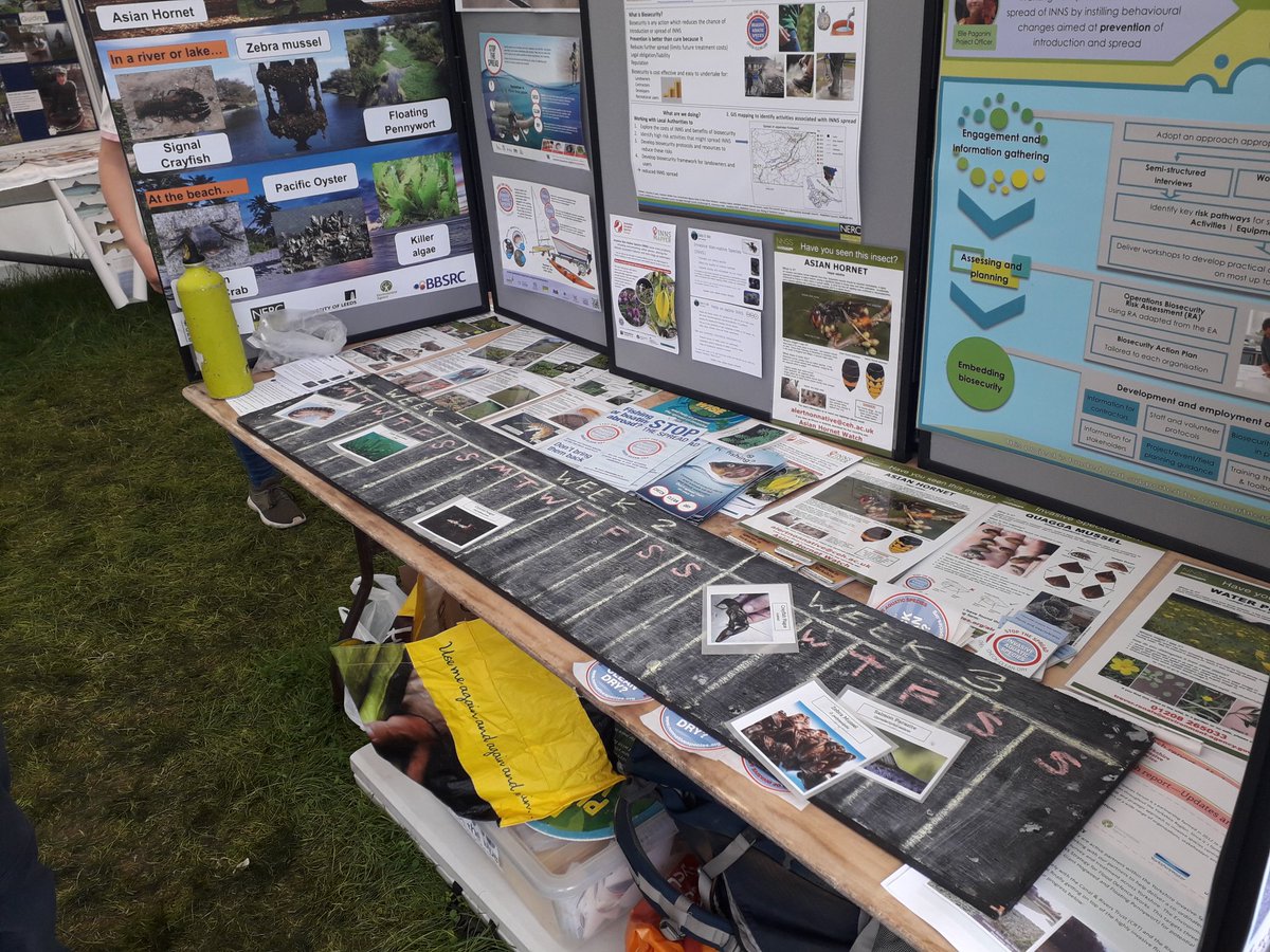 YorkshireiCASP's tweet photo. Final day of @greatyorkshow and #iCASP is here again talking about #InvasiveSpecies, explaining how #CheckCleanDry can help stop their spread and talking about our #INNS project with local authorities. Swing by if you're here at the showground https://t.co/rxU69V06p7