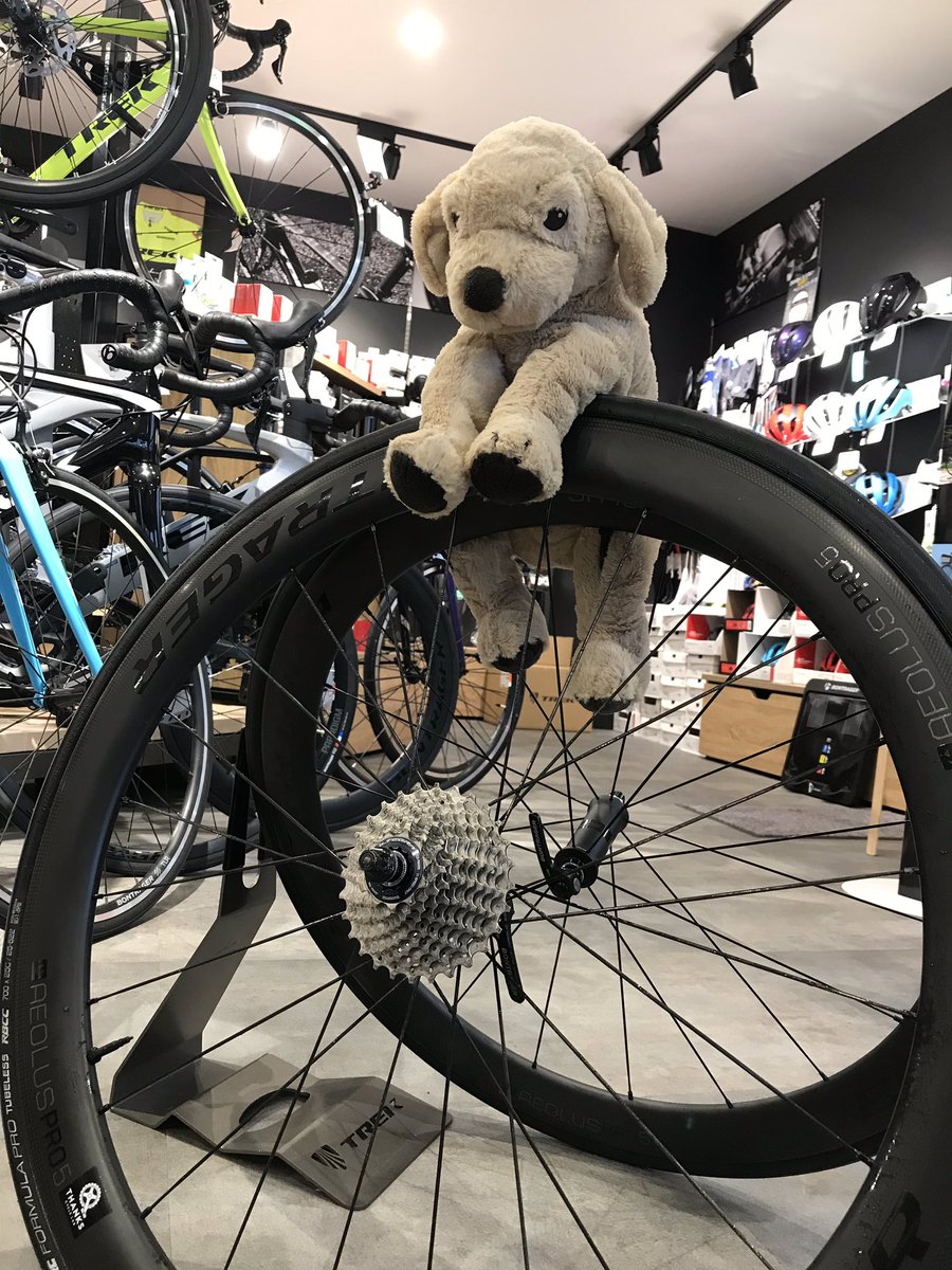 サンクスサイクルラボ小岩店 西葛西店でアイオロスプロ５のスペシャルオファーやってます