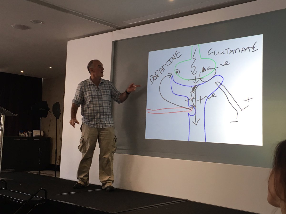 EmBennett78's tweet photo. Interactions and reward from attachment figures are key to brain development, and teachers play a key role in this. Fascinating opening keynote from Dr Andrew Curran #teachersmakeadifference #developingbrains #attachment #loveforlearning #EMSENDConference https://t.co/zx5JmNgFAp