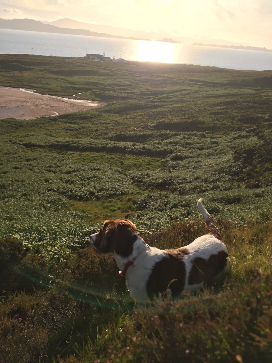Hartfield_House's tweet photo. What an awesome place to bike, swim, run, hike or just sit and watch the world go by. Stay with us st #hartfieldhousehostel from £25pp and take in some of the spectacular sites along the #nc500 just off the beaten track. https://t.co/QBSFtURqyg. #applecross #visitscotland #syha https://t.co/Hh8j9x5uUX