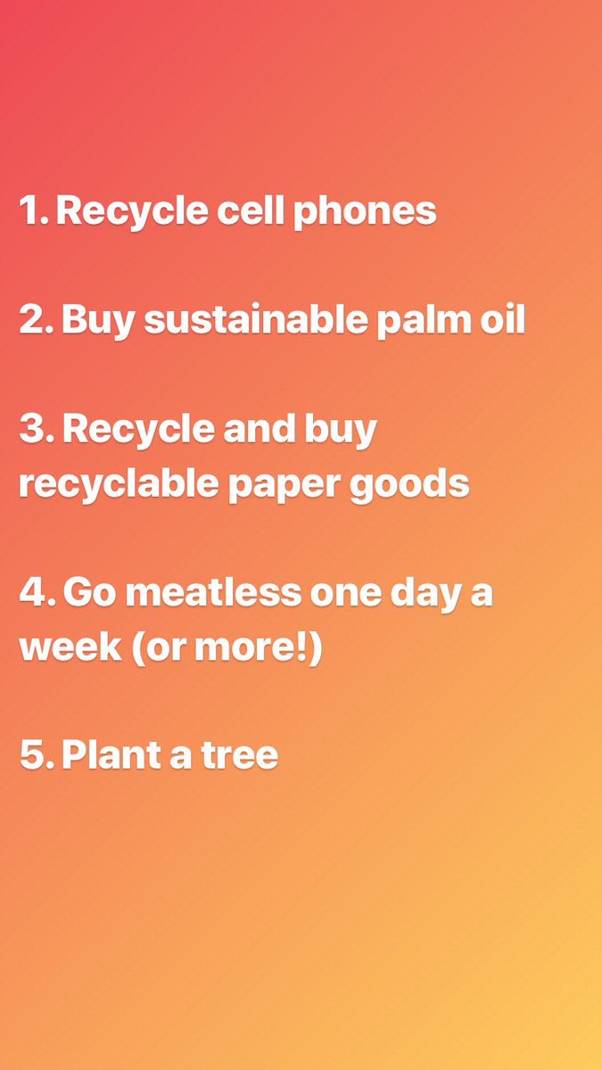 gorillaheroes10's tweet photo. Addy’s #PledgeTree is filling in nicely! Thank you to everyone who has pledged to recycle paper and electronics, plant trees, go meatless and buy sustainable palm oil to help slow deforestation. Will you pledge to help? @savinggorillas @theellenfund #WeNeedGorillas #gorillas https://t.co/Gu8z5UPRpi