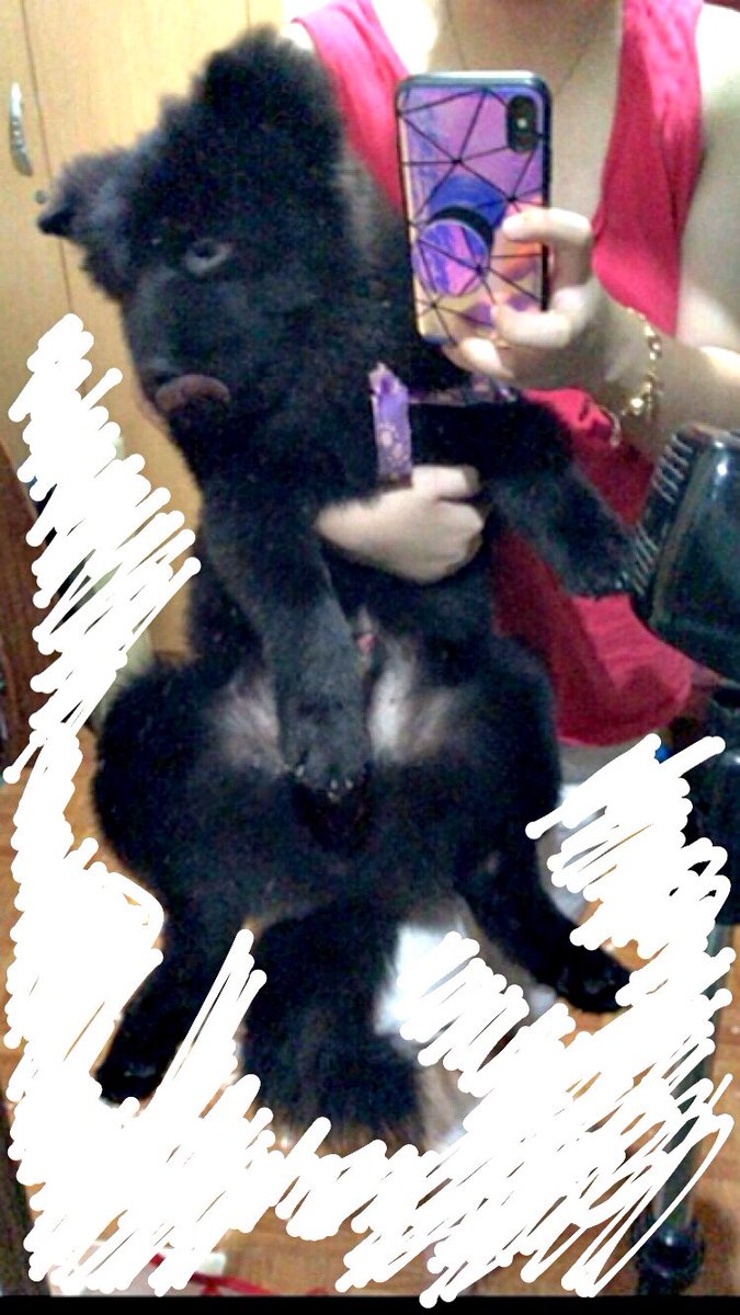 shiriru5's tweet photo. Getting bigger every day 😩😩😩 https://t.co/OW4cxB8qCw