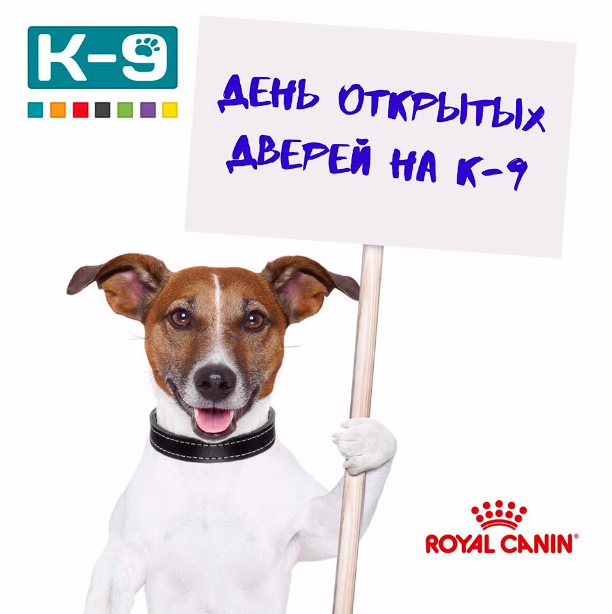 abcpets_kz's tweet photo. 📅14 июля 2019 года День открытых дверей на площадке К-9 Горный гигант по адресу ул. Хаджимукана 109.
✍Запись на занятие ОБЯЗАТЕЛЬНА и осуществляется через WhatsApp +7 (778) 530-14-92.
✅в instagram профиле @к9kz
по телефону 8 707 554 89 22
✅what’s app 8 707 554 89 22 https://t.co/PLcJJL0z55