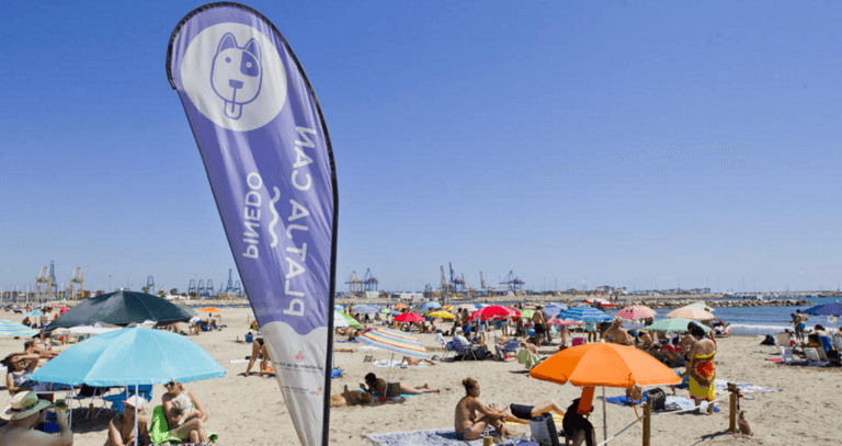 AntonianosVal's tweet photo. VUELVE LA #PLAYA DE LOS PERROS DE #PINEDO
El @AjuntamentVLC ha organizado todos los servicios de esta #playacan
Estará abierta desde el 11 de julio hasta el 30 de septiembre.
@perefuset @gtellocompany #Salesianos #perros #València #verano #sol
https://t.co/PTvnGJfRAa https://t.co/iYLAiTgm5m