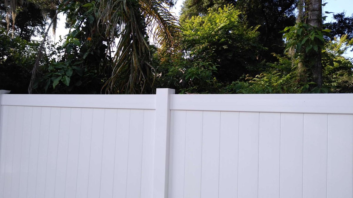Dragonbelle1's tweet image. #fenceProject #orlando #dragonbelle