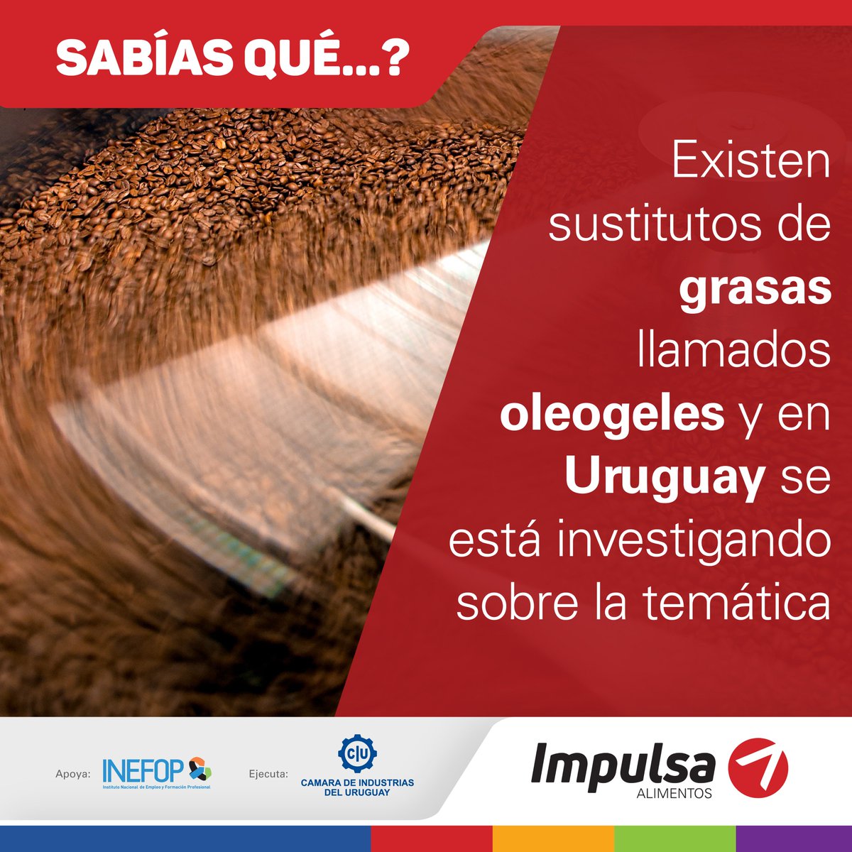 impulsa_ciu's tweet photo. ¿Estás pensando en reformular productos? ¿Buscás realizar cambios en la composición de grasas de los #alimentos?
Conocé más sobre esta noticia → https://t.co/bIdoz2oN57
Accedé a información sobre alimentos a nivel mundial sin costo → https://t.co/XWkARz4N4c https://t.co/Z8wo4FfNax
