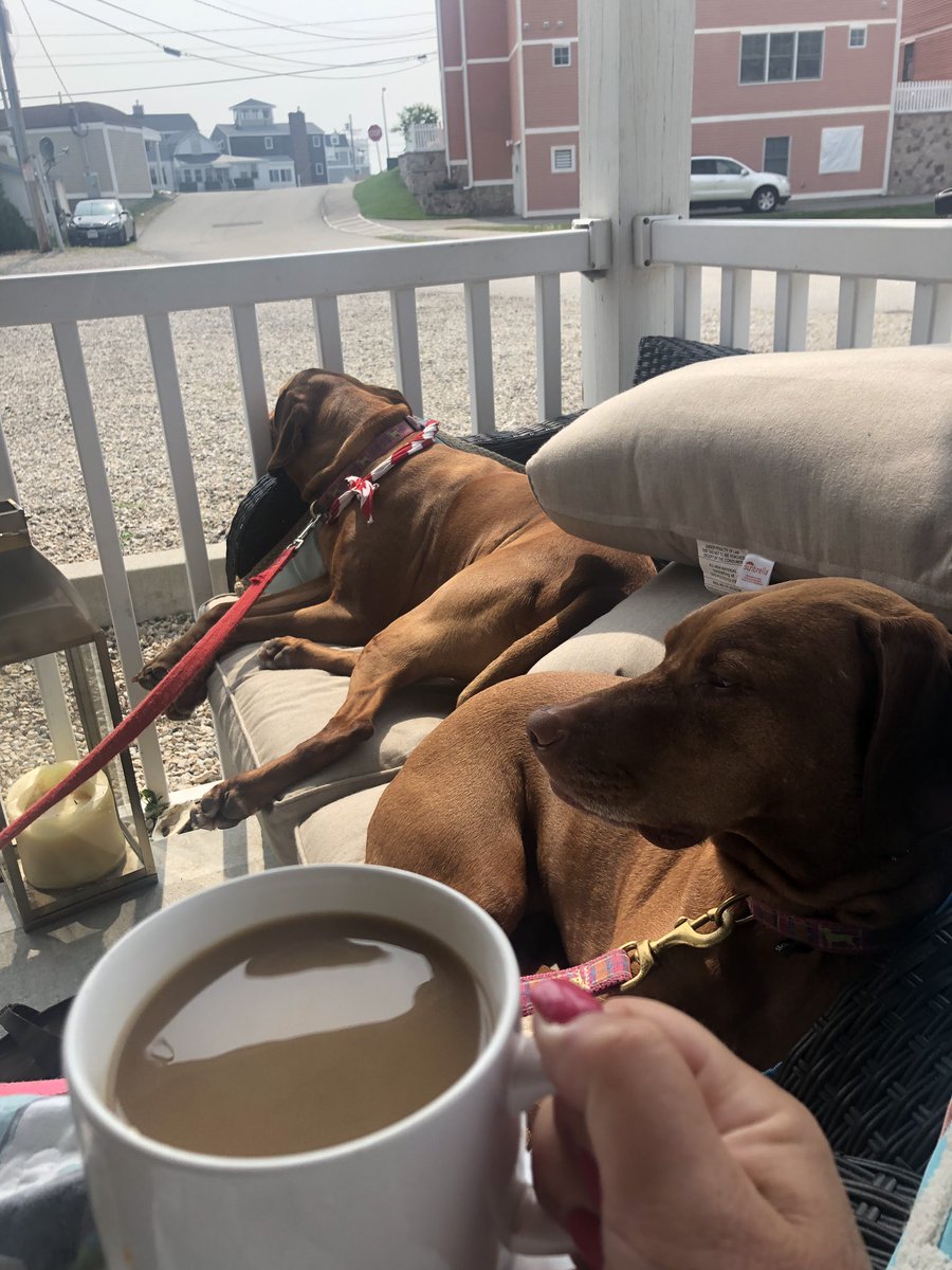 BHouseLHS's tweet photo. #lhssummerofgratitude                           Coffee on the patio with these two https://t.co/iSyHe1Gljz
