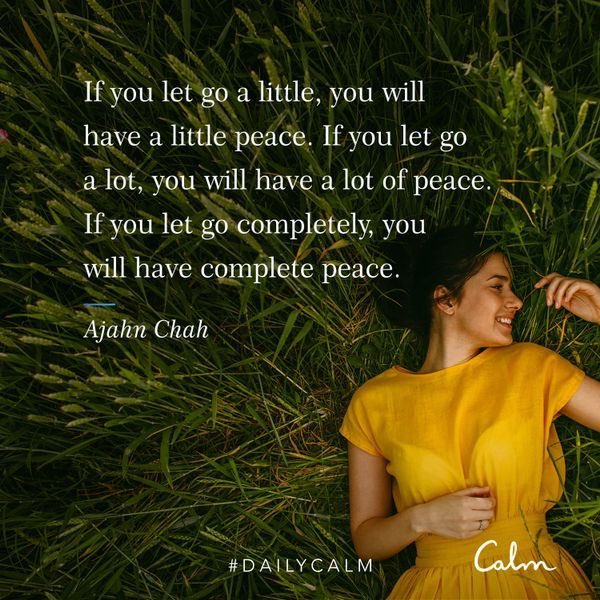 DebbiePlummer's tweet image. Today’s Daily Calm. On point. #GettingToWe