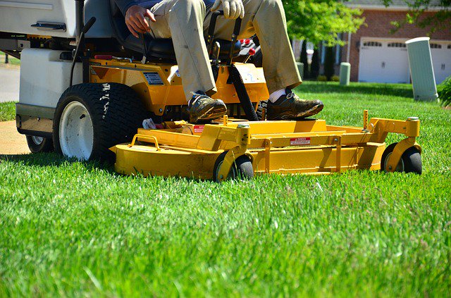 angi_home's tweet photo. Here are 5 signs of a good #lawncare company!
https://t.co/SWXsACVa5U https://t.co/dhy34cURYG