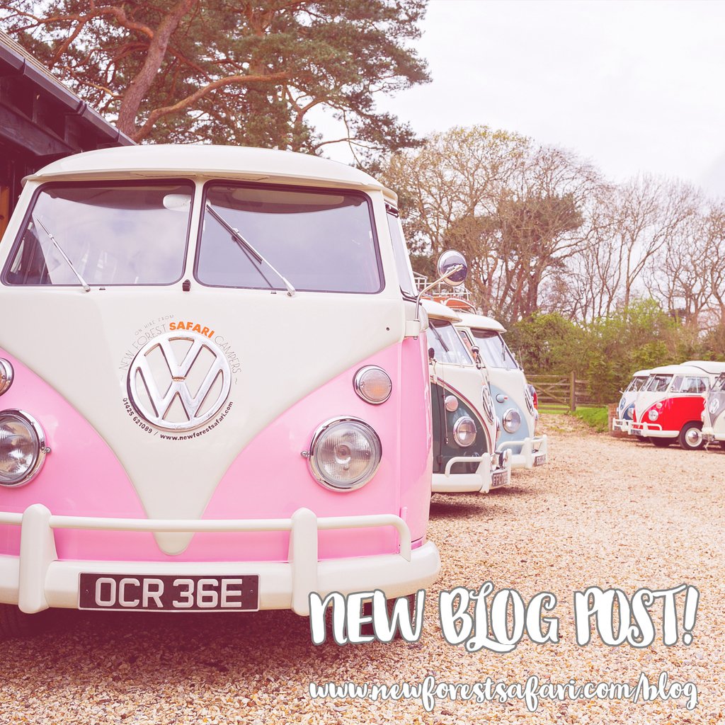 Check out our new blog post with some of our fave reviews of the last month! www/newforestsafari.com/blog #CampervanHire #VanLife #Adventure #HappyCampers
