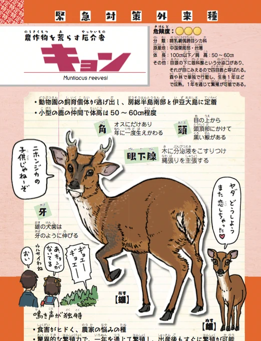 今日、次女と動物園に行ったらキョンがいると聞いたので、よーし、小さいとは聞いてたけど、どんだけ小さいか見てやろうと思ったらマジで予想以上に小さかったって話を深キョンがトレンド入りしてるのでしときますね。

試し読みページ有ります… 