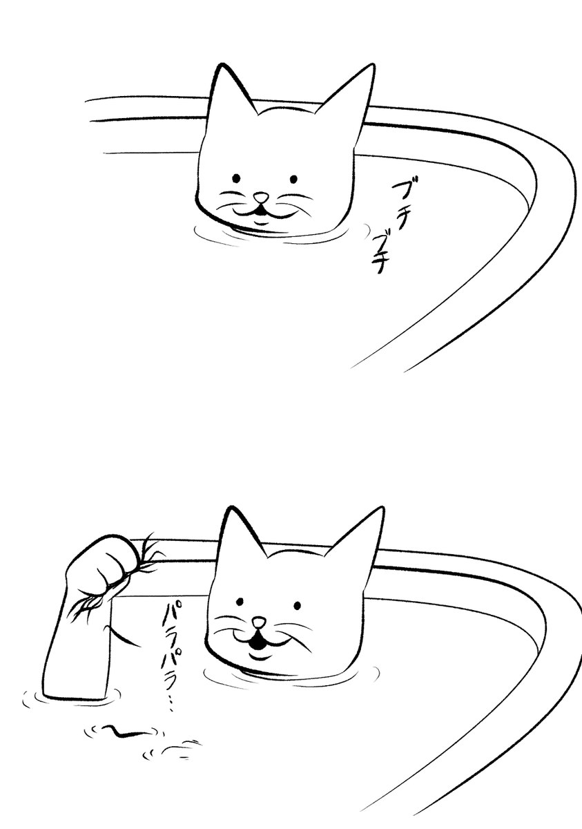 >湯船でちんげを抜いて遊ぶねこ https://t.co/10QVQhkxNZ 
