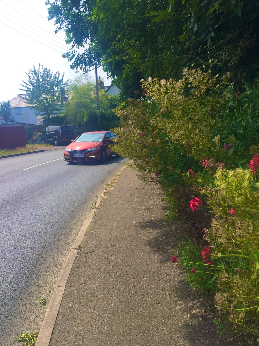 JenniferAClair's tweet photo. What shall it be? A busy street or a mass of thorny plants? 

I liked that dress.

#PedestrianProblems https://t.co/xjAlGMrf3T