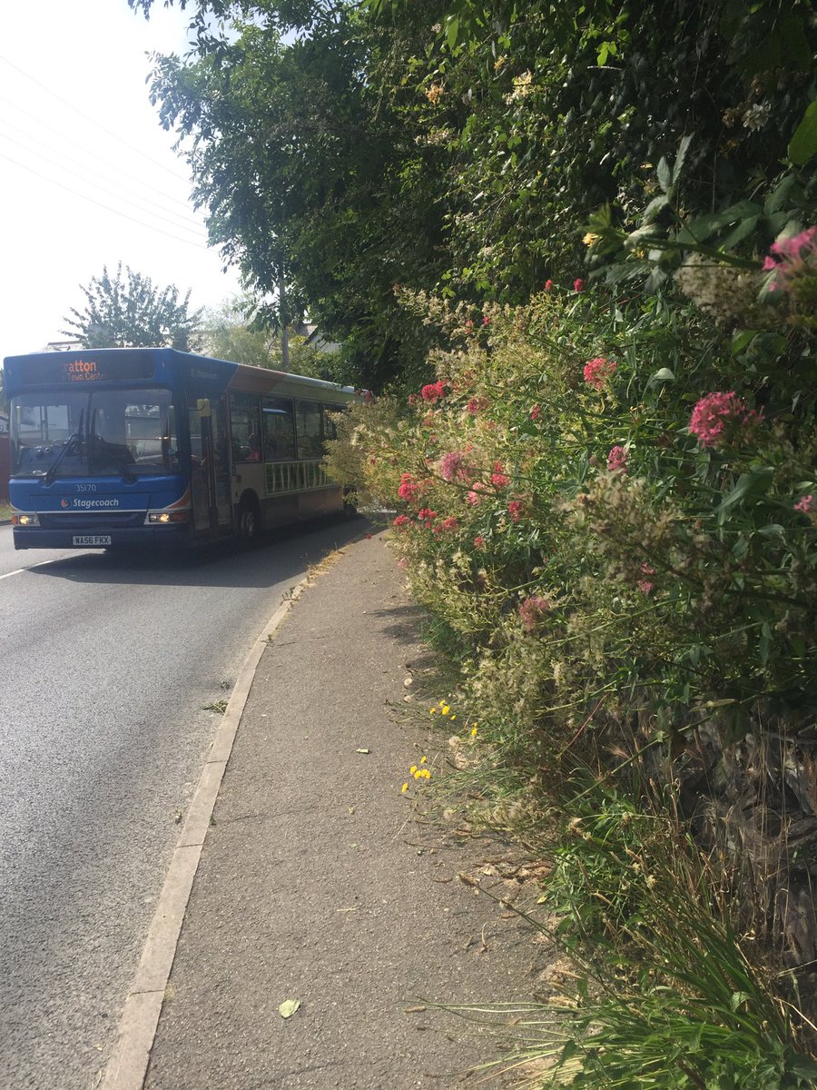 JenniferAClair's tweet photo. What shall it be? A busy street or a mass of thorny plants? 

I liked that dress.

#PedestrianProblems https://t.co/xjAlGMrf3T