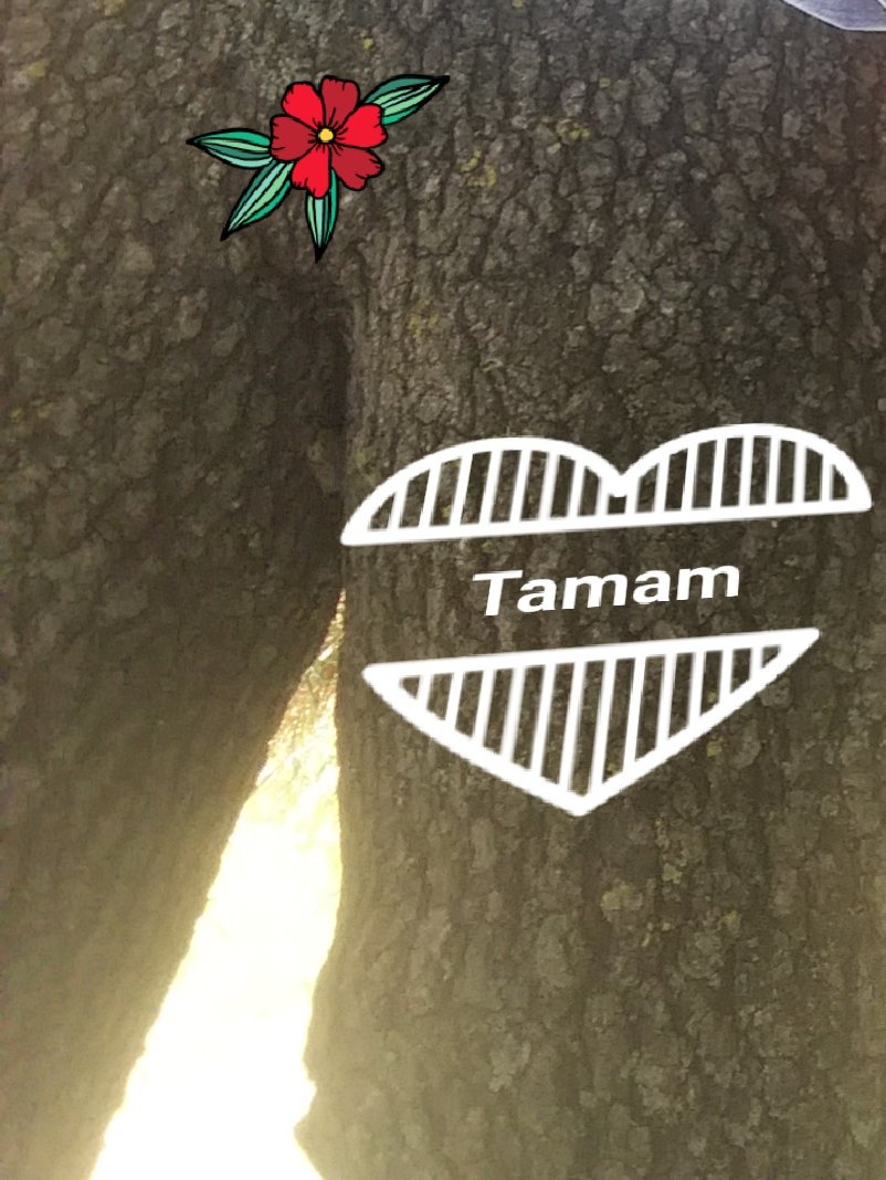 Agac gibi kadin🤣🤣🤣