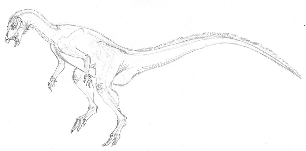 kta92751434's tweet photo. #Agilisaurus #アギリサウルス
90年代に中国から発見されて命名された恐竜に種ては珍しく地名じゃない。
恐竜様類のアジリサウルスのせいか、最近はアギリサウルスって表記される事が多くなった気がする。
アッチもスペル的にはアシリじゃなかろうか? https://t.co/hiyPopqjVJ
