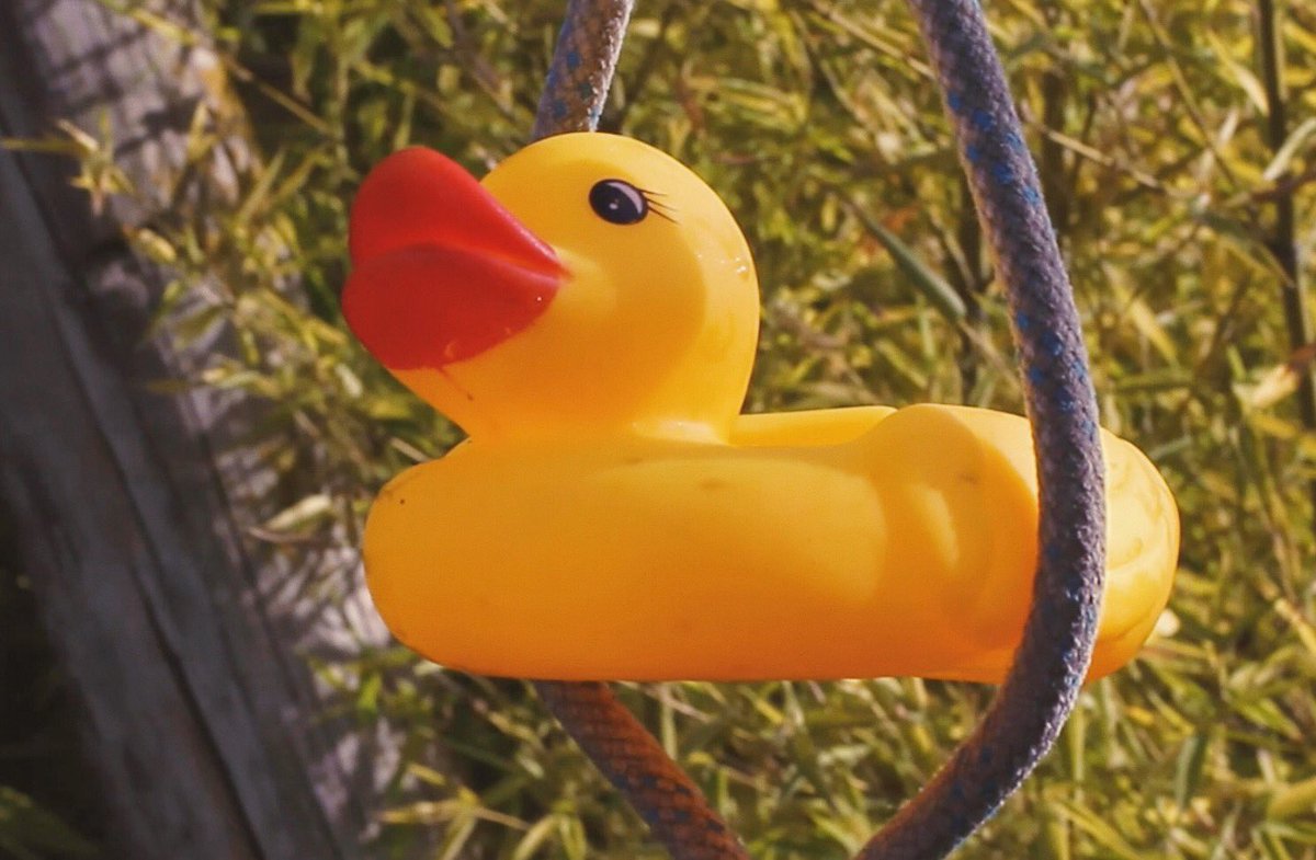 ContraCorrent_'s tweet photo. Avui a les⏳20h nou videoclip del single He Somiat📽✨ per fi podreu conéixer els nostres nous amics🦆 https://t.co/r7sH2GSs9m