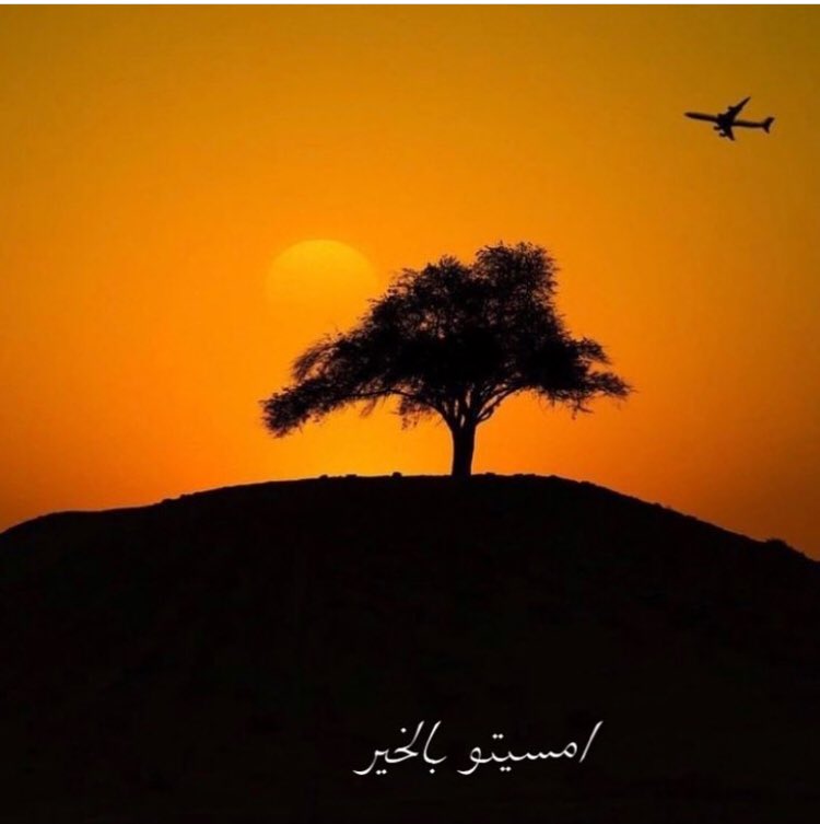 غاب عني والمحآني وقلبي في رجآه

يوم قفى ليت حبه معه شد الرحال .