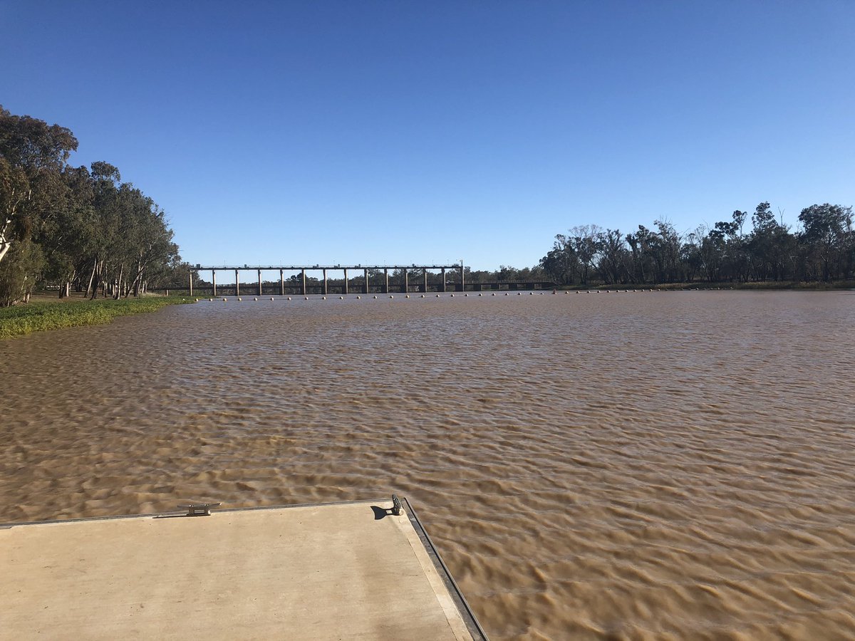 Peter Waddell tweet media