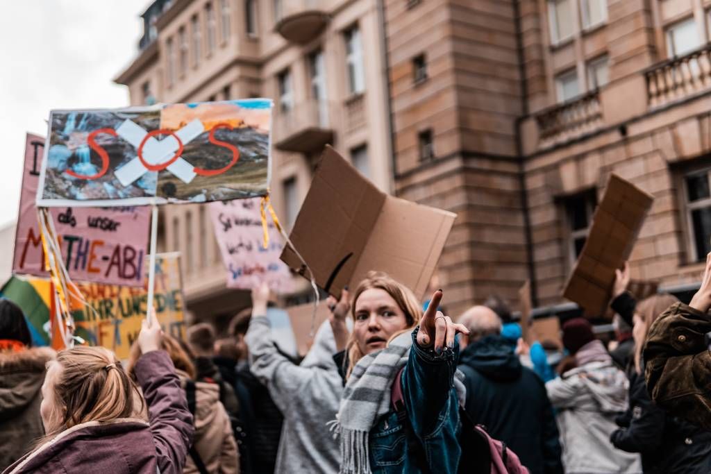 free довузовская подготовка журналистов