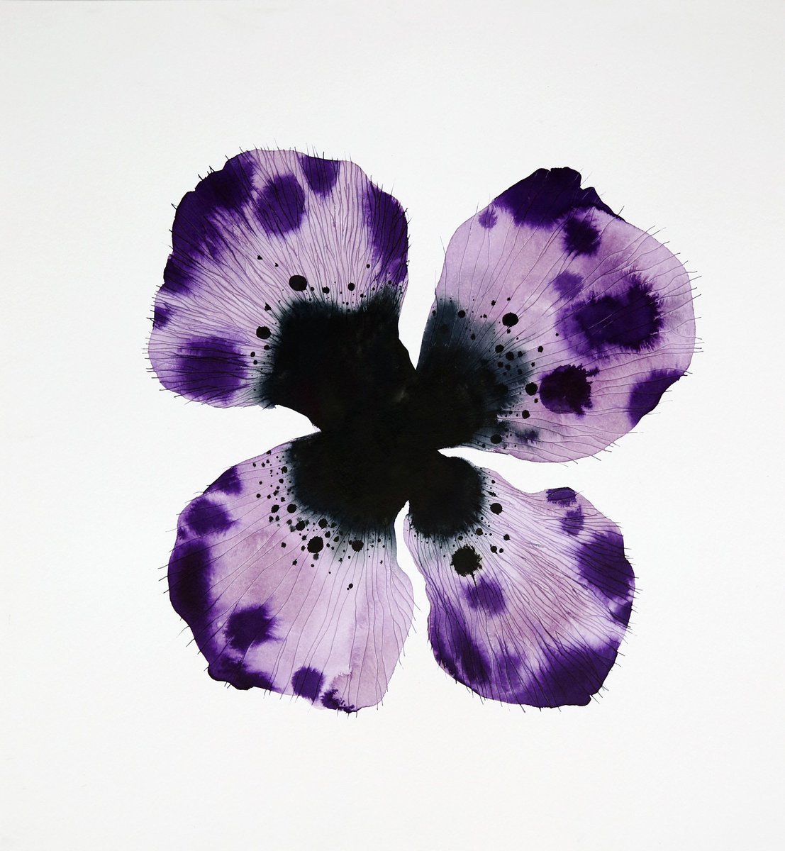 SHOWstudio's tweet photo. We are proud to present a solo show by #StephenDoherty, opening tomorrow 12 July at our gallery, 22D Ebury St, London SW1W 0LU. 'Gratitude Blooms' presents an exquisite new body of works in ink, conceived by Doherty during an artist residency in Goa. https://t.co/ydFWwqTvuu https://t.co/5LoIv079RW