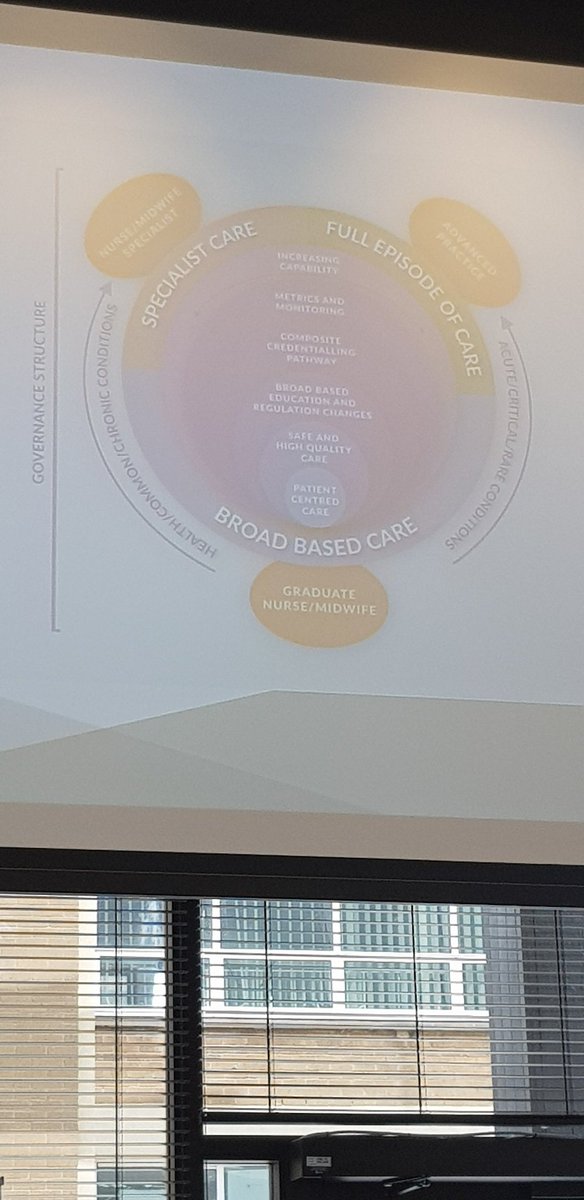 SineadGrogan3's tweet photo. Dr Siobhan O Hallorin talking all things advanced patient care delivered by highly skilled specialist nurses @ICHNDublin @roinnslainte https://t.co/i9lJosZLLI