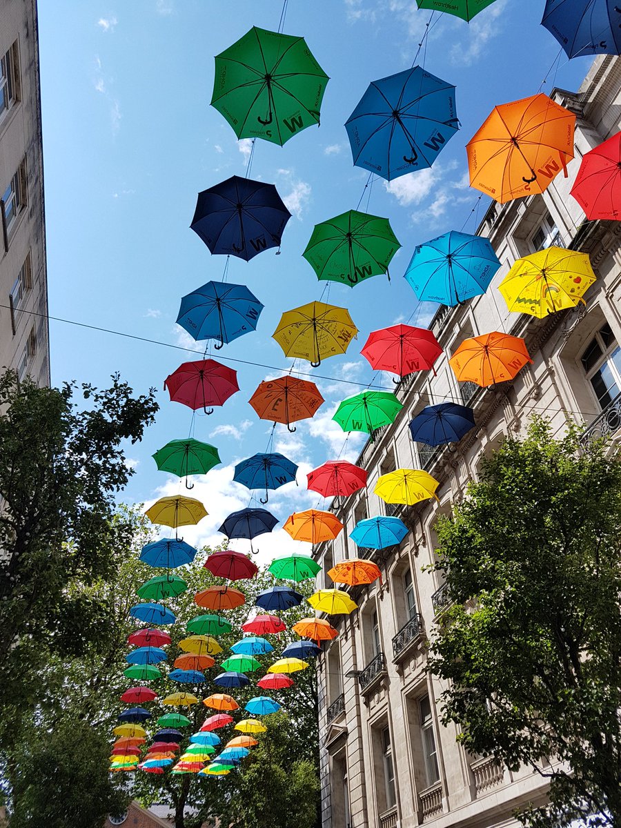 Neil Rudge (@rudge_neil) | Twitter