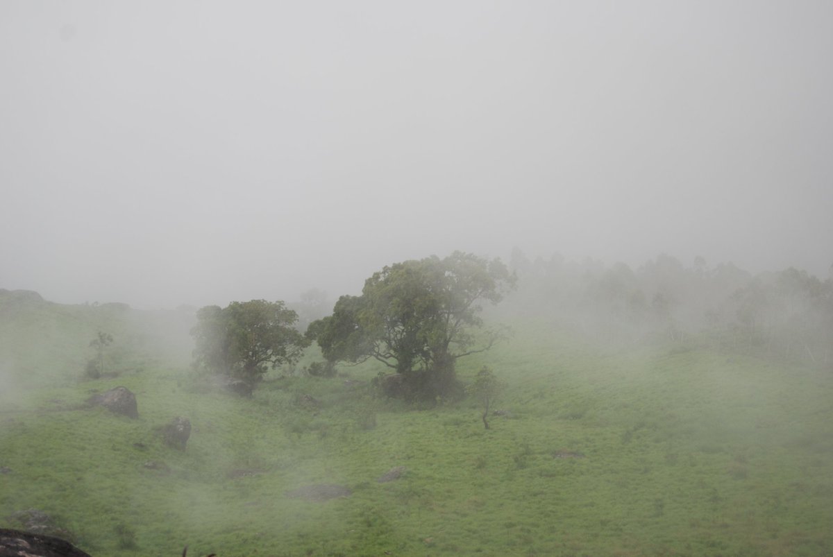 ResortRivulet's tweet photo. Wonderland Munnar

@KeralaTourism https://t.co/QNkv4WlHfG