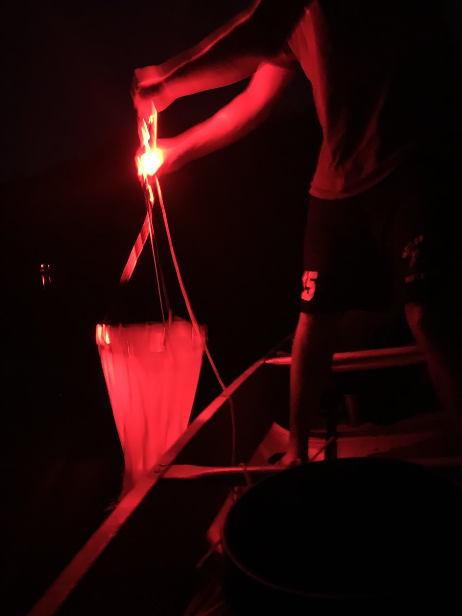 Finishing up our 24-hour sampling campaign looking at zooplankton horizontal and vertical migration! We caught the sunrise this morning and did some night sampling last night at both pelagic and littoral sites. Just a few more tows left to take at noon before we’re done!