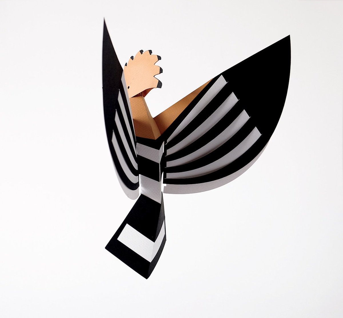 plegopaper's tweet image. Reunió d&apos;estiu! Tota la família junta bis🐦🦉🦅🦜🐓 #plego - bird collection - #plegopaper