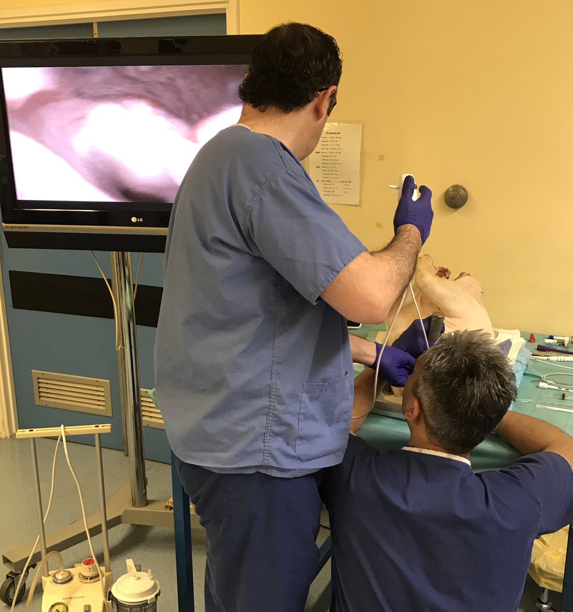 janinekelly526's tweet image. All systems go at the Northwick Park MDT tracheostomy workshop @Ambu_UK #handson #trainingiskey #visualisethatairway