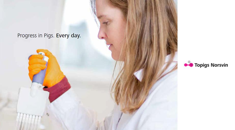 Topigs Norsvin is the natural first choice for long-term partnerships with producers, processors, academic institutes and others in the pig industry. We take pride in working together with our partners to find new solutions and to help their business thrive.