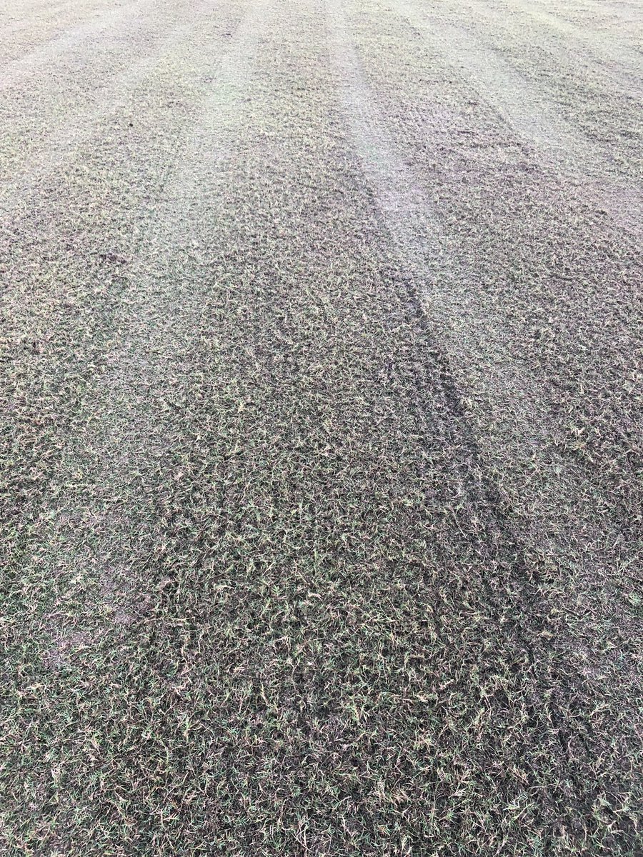Copperleafmaint's tweet photo. Double Verticutting Fairways #copperleaf and cleaning them up is time consuming yet worth the effort. Thanks to my staff and equipment! https://t.co/PFULnvZ1JE